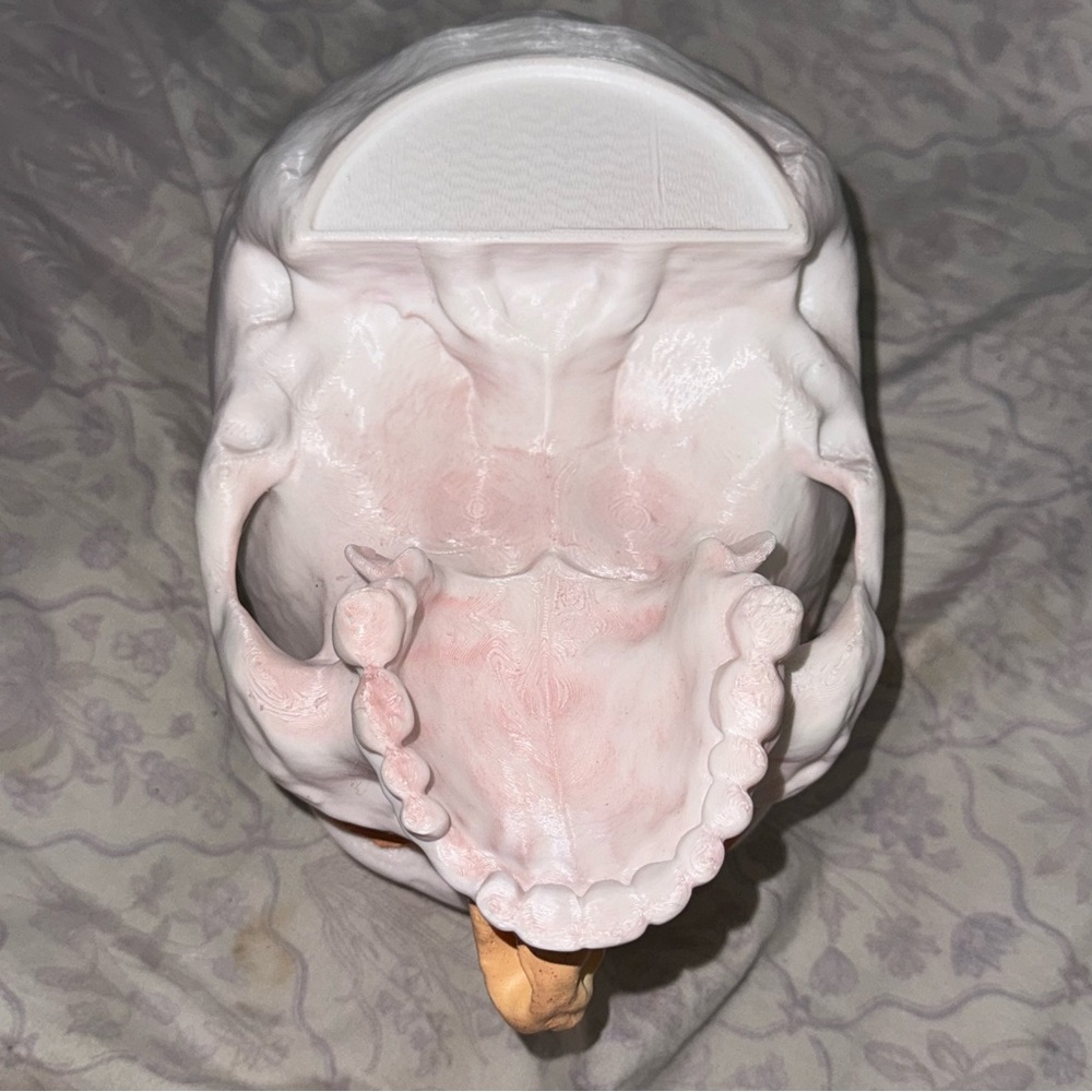 Frankenstein Guillermo Del Toro popcorn bucket by Netflix - Picture 6 of 6